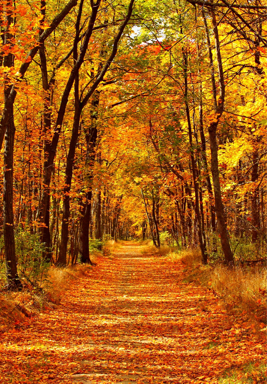 株式会社メディアバーン 東京・新橋のIT企業