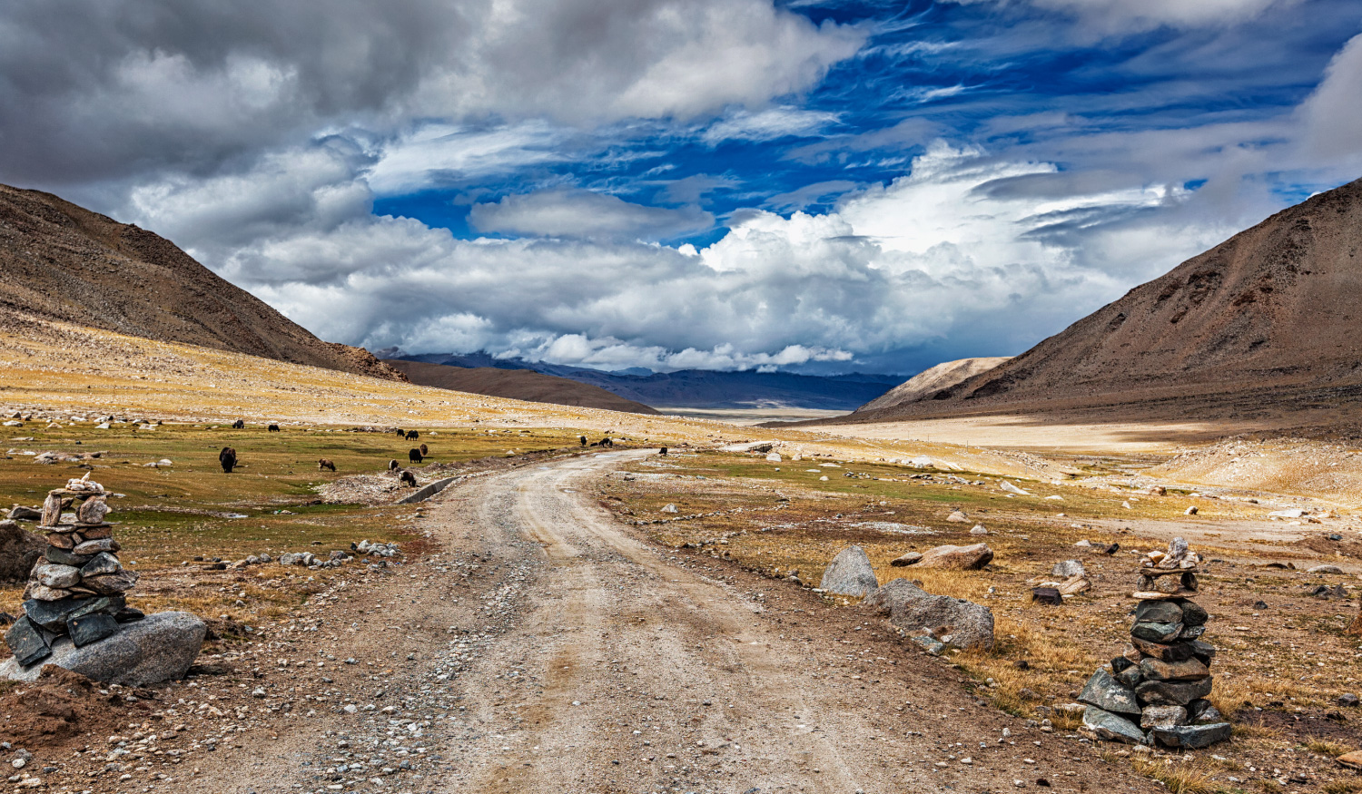 株式会社メディアバーン 経営方針