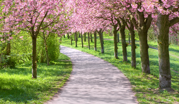 株式会社メディアバーン 経営方針