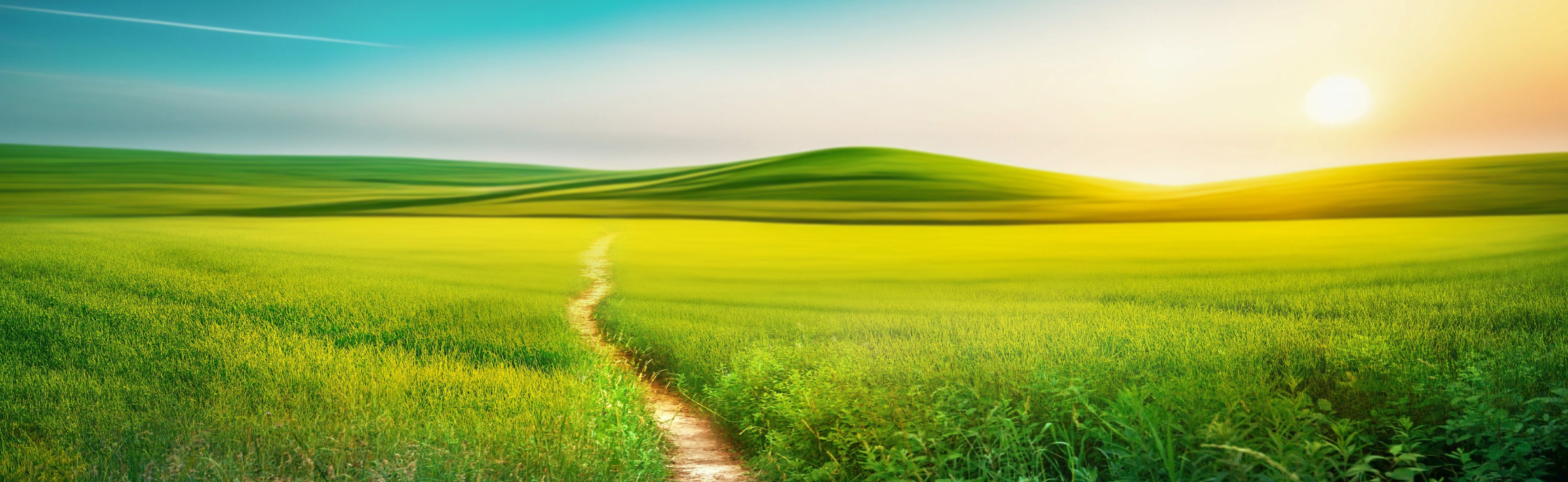 株式会社メディアバーン 東京・新橋のIT企業