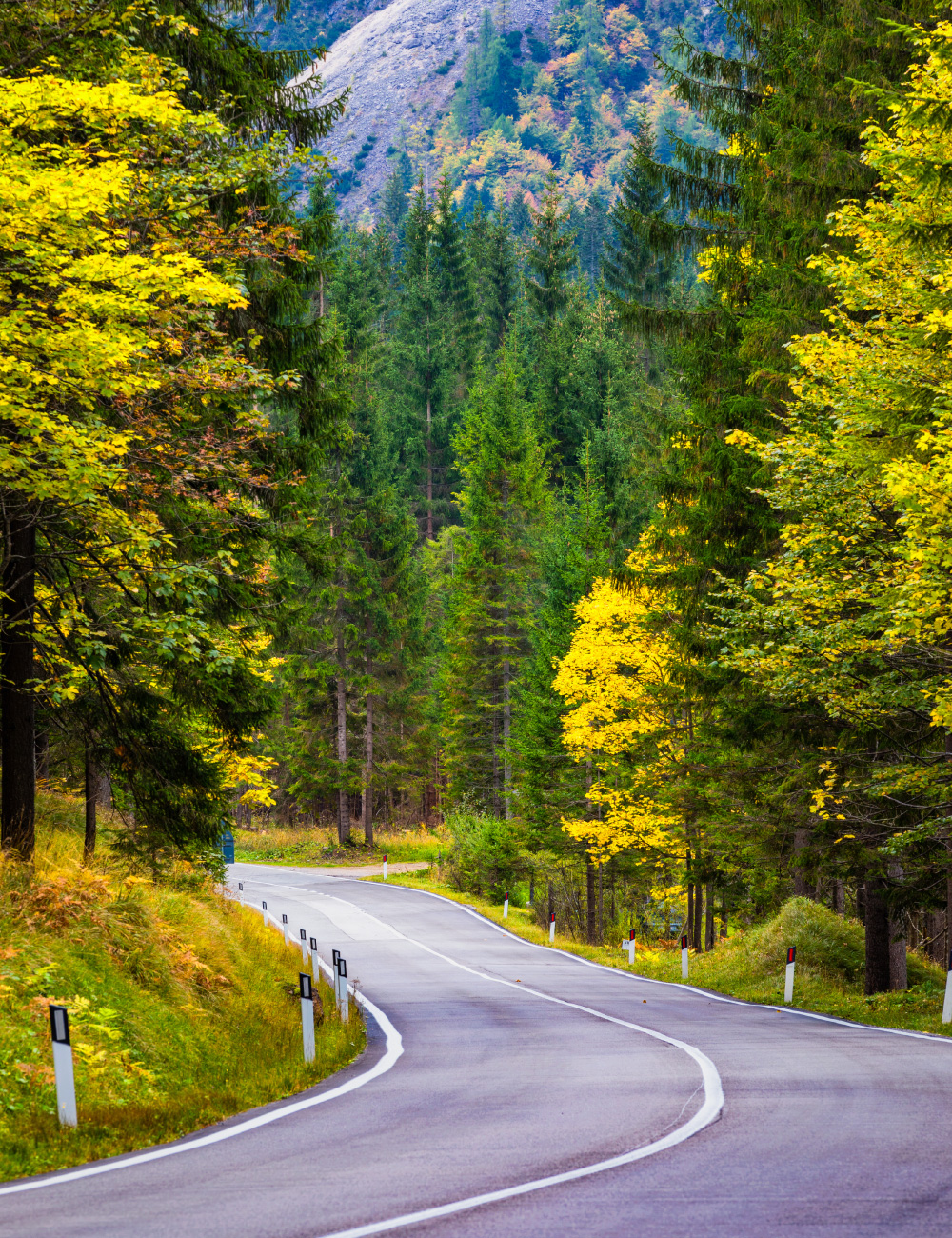 株式会社メディアバーン 採用情報