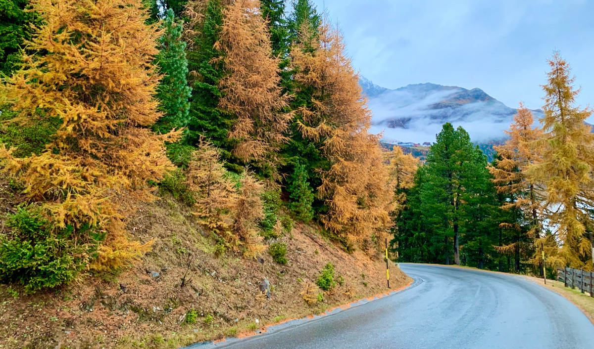 株式会社メディアバーン 人材育成について