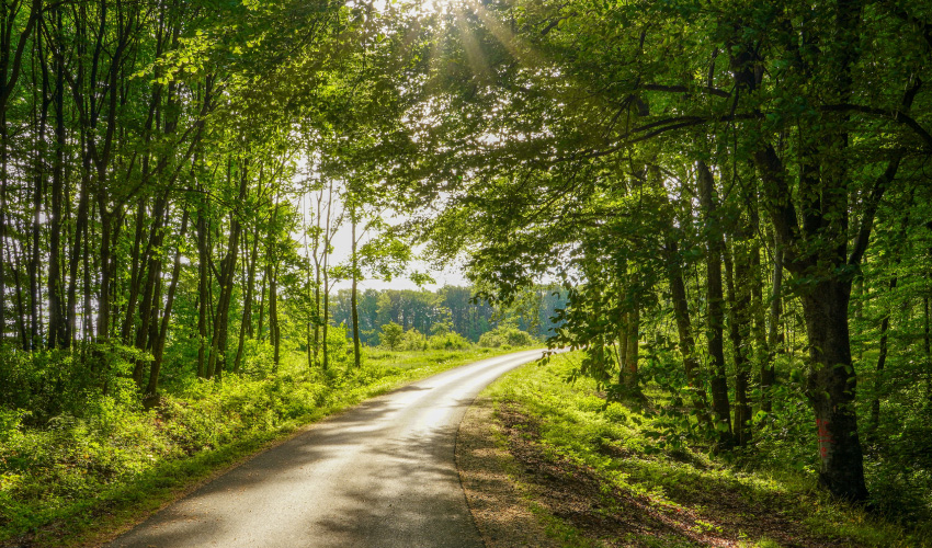 株式会社メディアバーン 人材育成について