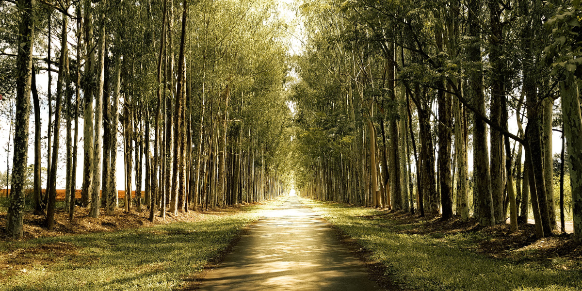 株式会社メディアバーン 採用情報