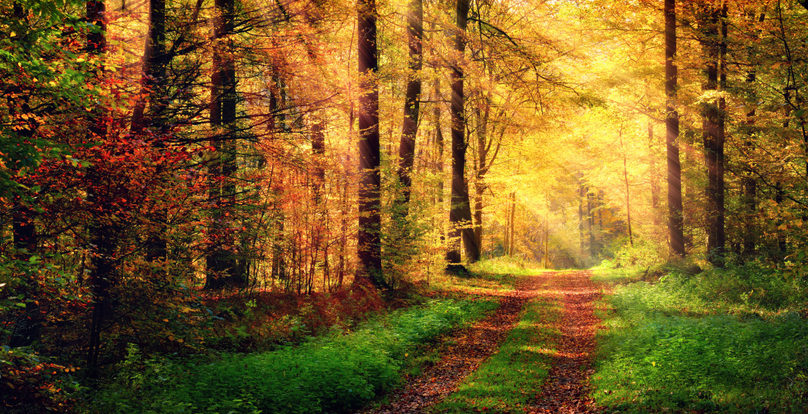 株式会社メディアバーン クラウド開発