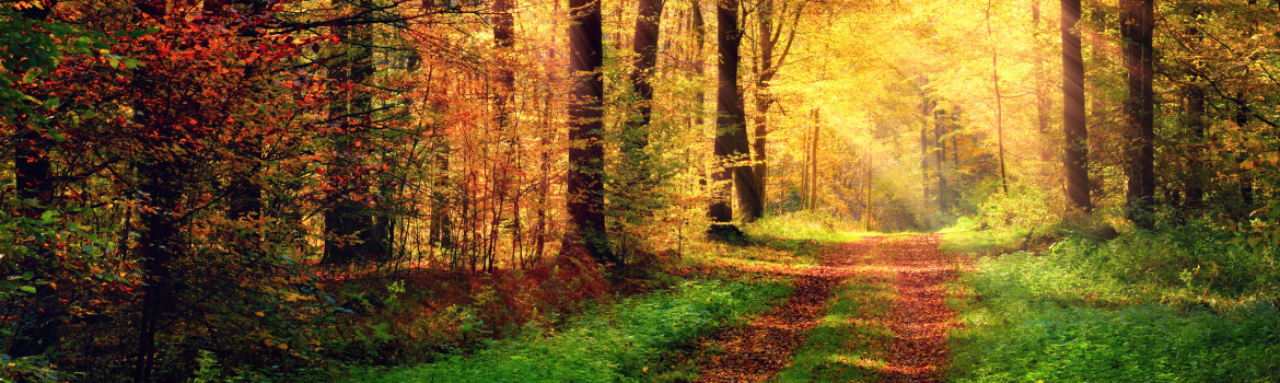 株式会社メディアバーン クラウド開発