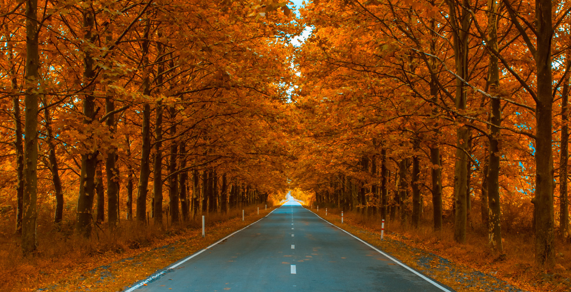 株式会社メディアバーン 金融機関>
    </div>

    <div class=