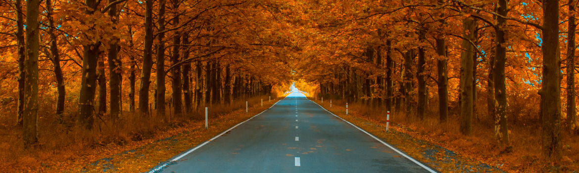 株式会社メディアバーン 金融機関